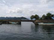 ブラックバス釣り琵琶湖