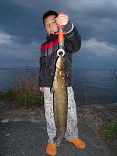 ブラックバス釣り琵琶湖釣果情報