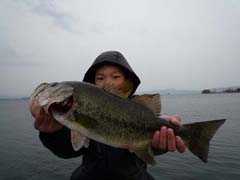 ブラックバス釣り琵琶湖釣果情報