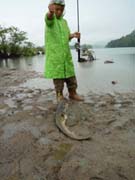 ブラックバス釣り