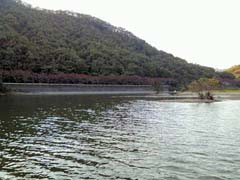 ブラックバス青野ダム