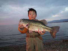 琵琶湖ブラックバス釣り