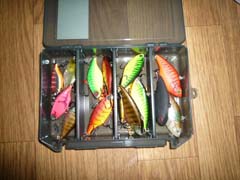 ブラックバス釣り琵琶湖釣果情報