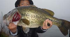 琵琶湖ロクマル