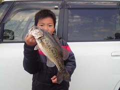 ブラックバス釣り