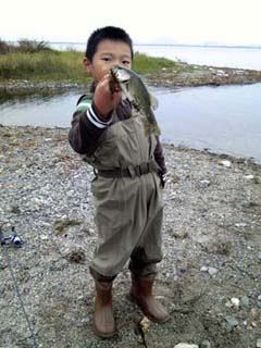 ブラックバス琵琶湖