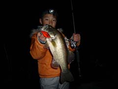 ブラックバス釣り琵琶湖釣果情報