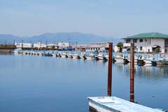 琵琶湖_ブラックバス