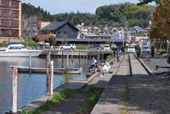 琵琶湖_ブラックバス