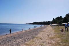 琵琶湖バス釣り